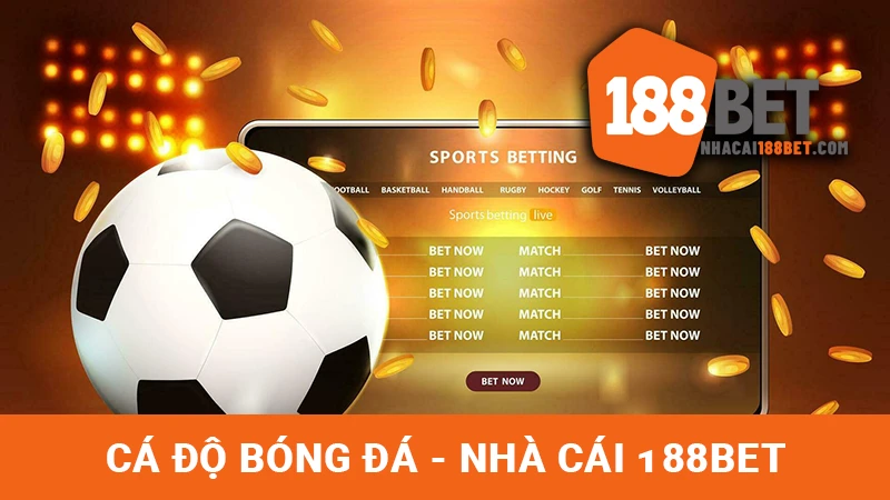 Cá độ bóng đá tại 188BET với tỷ lệ cược hấp dẫn